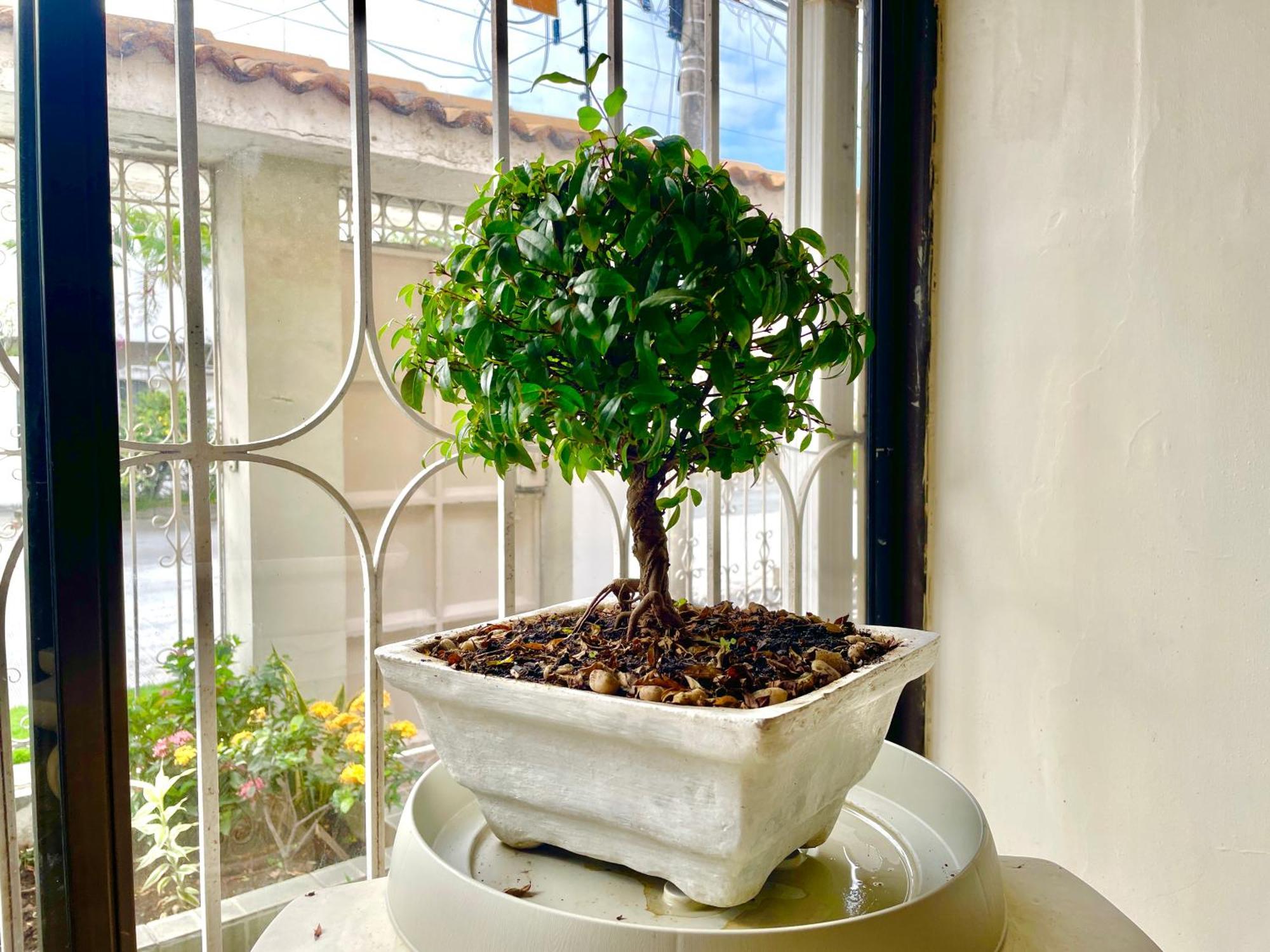 Villa Garza Inn Guayaquil Exteriér fotografie
