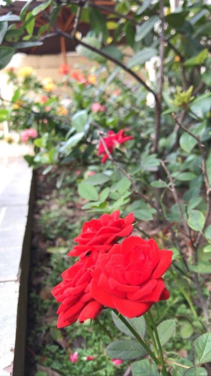 Villa Garza Inn Guayaquil Exteriér fotografie